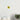 042d4a55-fa40-4ddc-b8a1-287433bc39ab