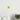 199cce19-dc20-4618-8bc1-8e1bf3d00fff