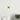 40d53470-390c-4ae1-9da1-3f2ac29a7715